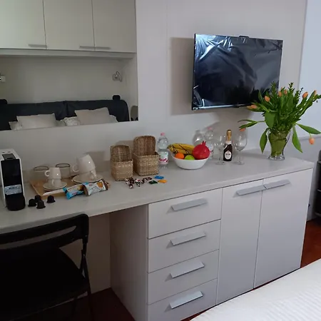 게스트하우스 Andenis Tiber House